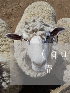 關(guān)于轉(zhuǎn)包、掛靠、陰陽合同的法律責(zé)任，高院給出明確答復(fù)！